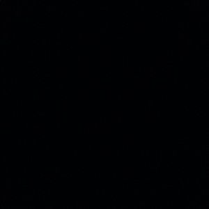 Meet your Posher, Wyatt